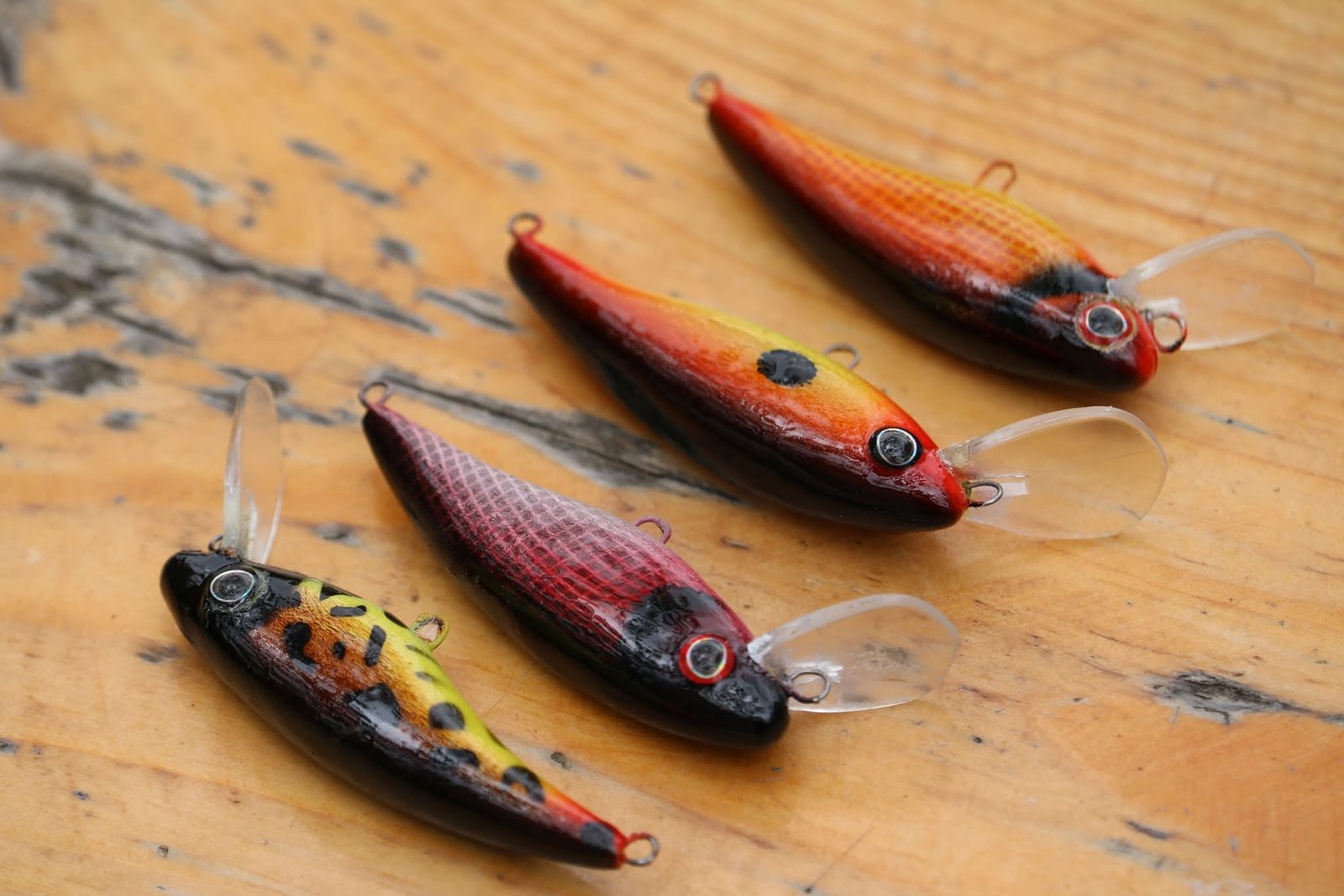 BW-70 Brown Trout